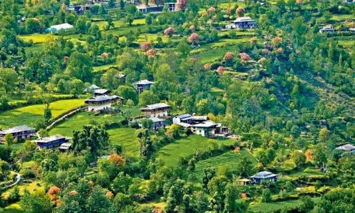 Photo of Shoja by Priya Yadav