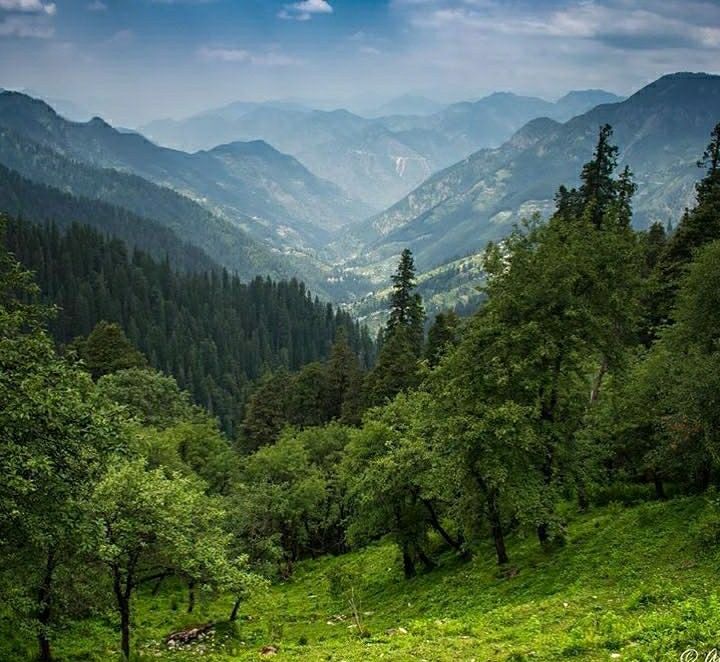Photo of शोजा ट्रैवल गाइडः दो दिन में करें हिमाचल के इस स्वर्ग की सैर by Priya Yadav