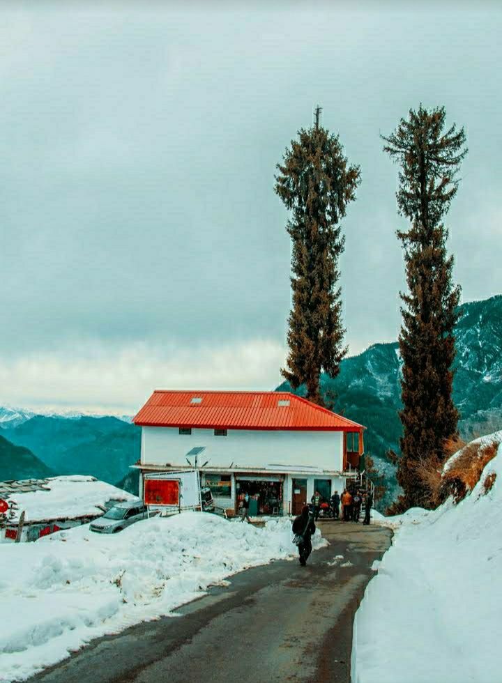 Photo of शोजा ट्रैवल गाइडः दो दिन में करें हिमाचल के इस स्वर्ग की सैर by Priya Yadav