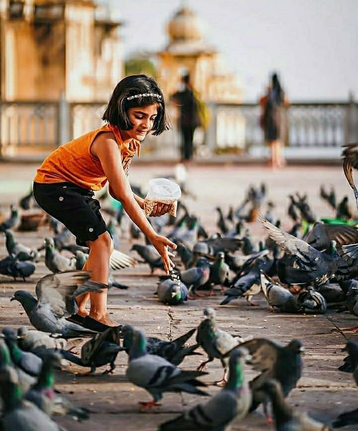 Photo of बच्चो के साथ जाना है छुट्टी पर तो इन जगहों को अपनी बकेट लिस्ट में करे शामिल by Priya Yadav
