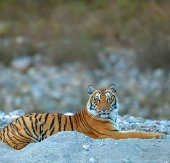 Photo of बच्चो के साथ जाना है छुट्टी पर तो इन जगहों को अपनी बकेट लिस्ट में करे शामिल by Priya Yadav