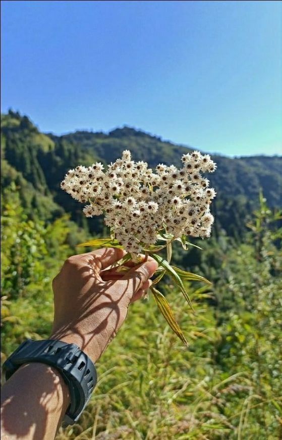Photo of बच्चो के साथ जाना है छुट्टी पर तो इन जगहों को अपनी बकेट लिस्ट में करे शामिल by Priya Yadav