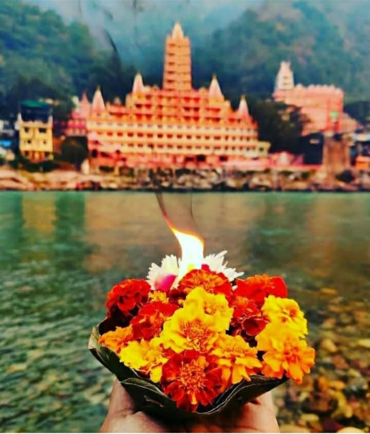 Photo of बच्चो के साथ जाना है छुट्टी पर तो इन जगहों को अपनी बकेट लिस्ट में करे शामिल by Priya Yadav