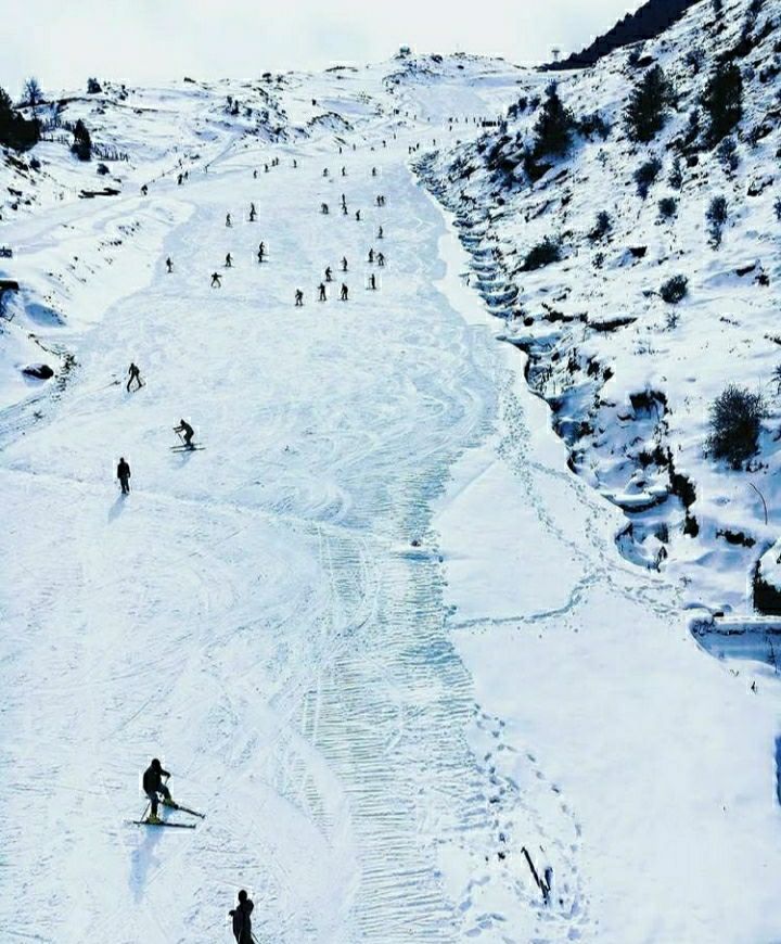 Photo of बच्चो के साथ जाना है छुट्टी पर तो इन जगहों को अपनी बकेट लिस्ट में करे शामिल by Priya Yadav
