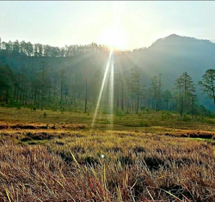Photo of डोंग:-भारत का वो गाँव,जहाँ सबसे पहले पहुँचती है सूरज की किरणें by Priya Yadav