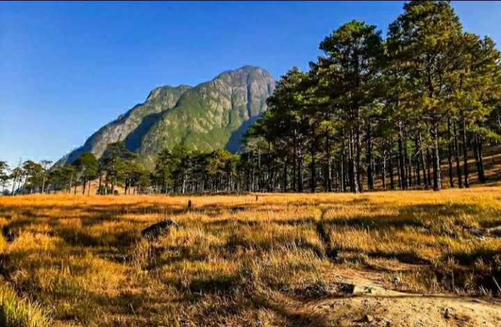 Photo of डोंग:-भारत का वो गाँव,जहाँ सबसे पहले पहुँचती है सूरज की किरणें by Priya Yadav