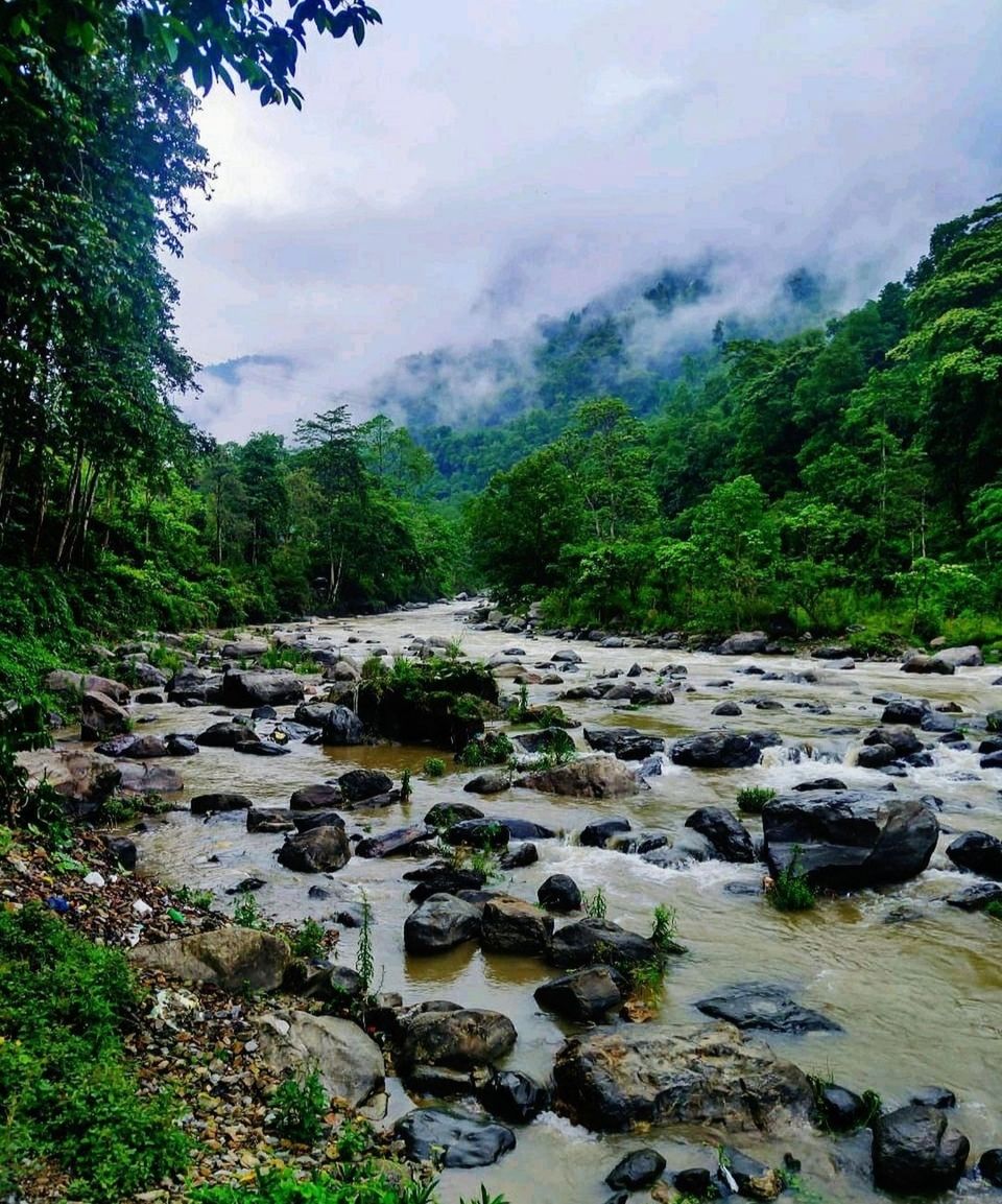 Photo of किसी जन्नत से कम नहीं है सिक्किम का सिंगतम एक बार जरूर करे इसकी सैर by Priya Yadav