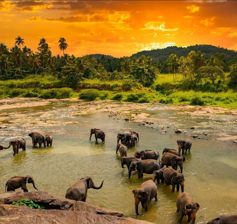 Photo of कैंडी by Priya Yadav