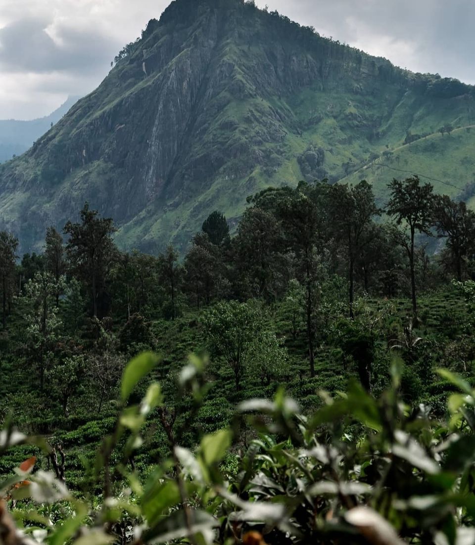 Photo of Ella by Priya Yadav