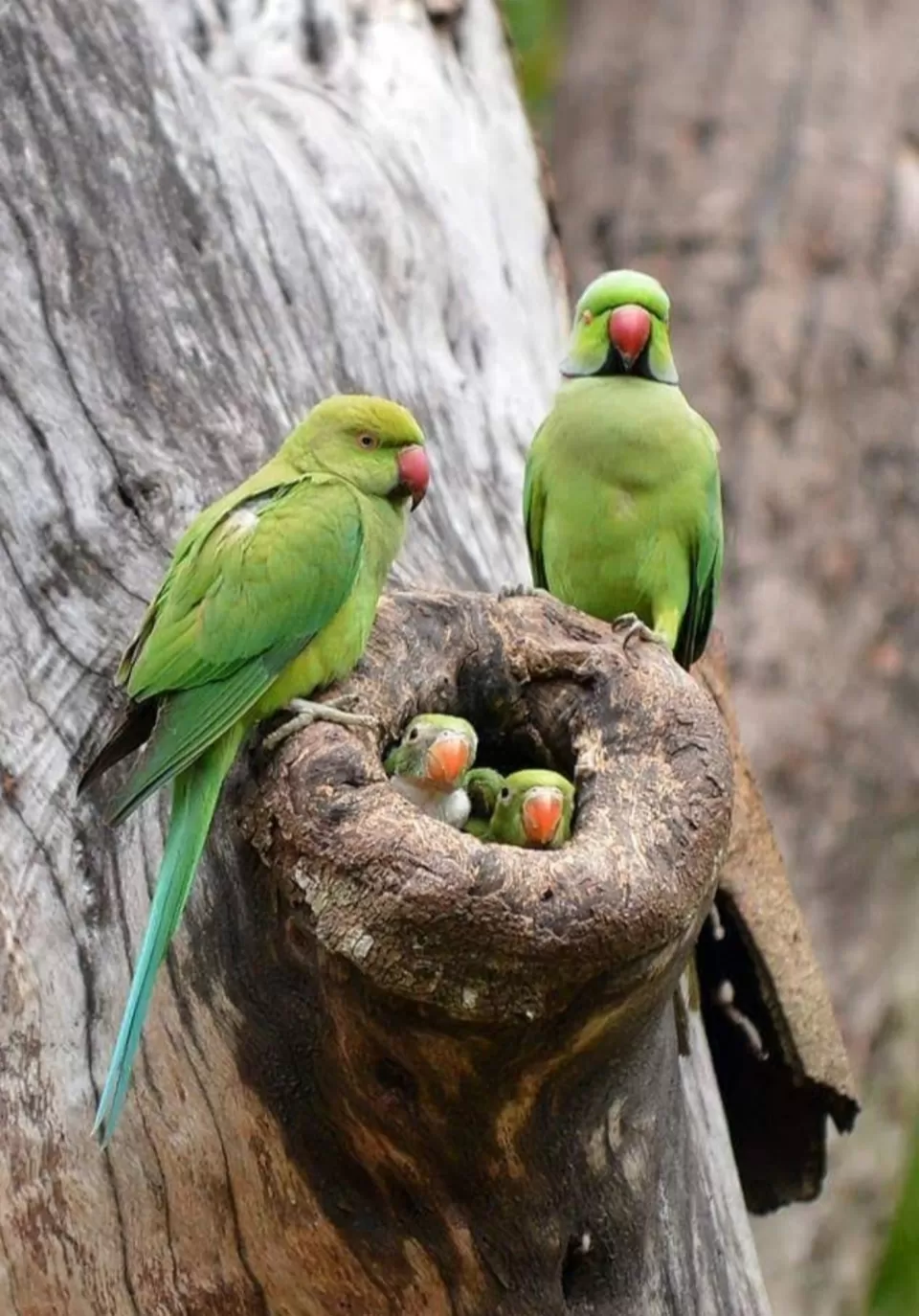 Photo of सारंगढ़ by Priya Yadav