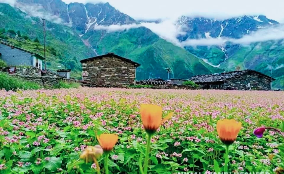 Photo of दारमा वैली : उत्तराखंड की इस जगह की खूबसूरती देख आप भी हो जायेंगे मदहोश by Priya Yadav