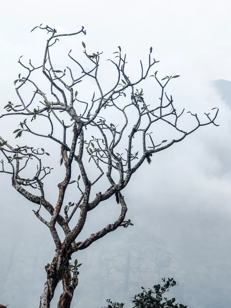 Photo of Gorakhgad By Om Pawar