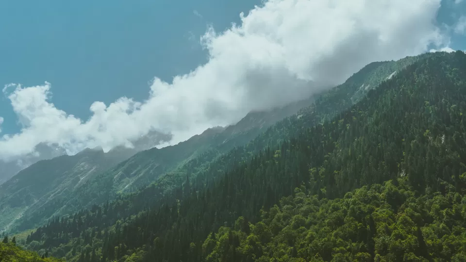 Photo of Valley of Flowers | Hemkund Sahib#TravelPrompts by The Himalayan Spirit