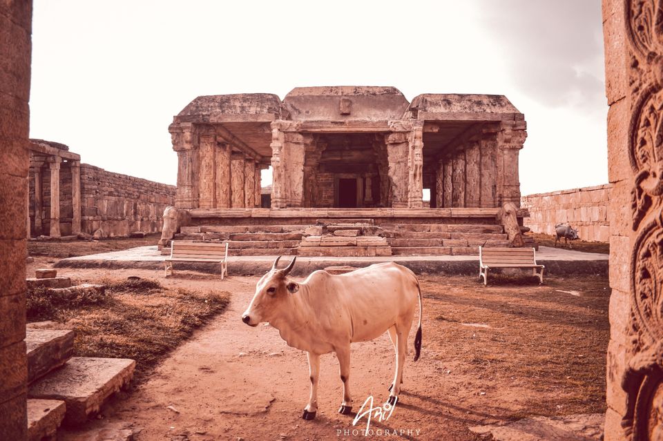 Photo of Gandikota by Photanil
