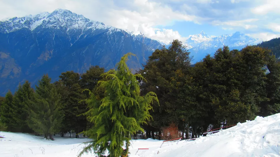 Photo of Auli top , Top tower Ropeway, Joshimath, Uttarakhand, India by Subhashish Chatterjee