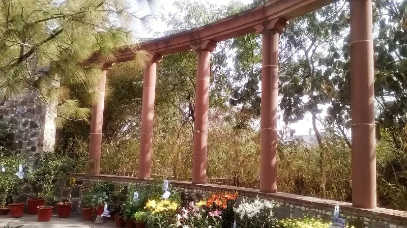 Photo of The Garden of Five Senses By DhRuV Bhardwaj 