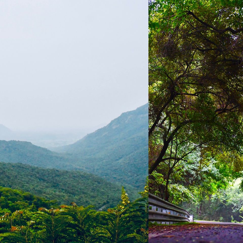 Photo of Jawadhu Hills, Jamunamarathur, Tamil Nadu, India by Prabu KV