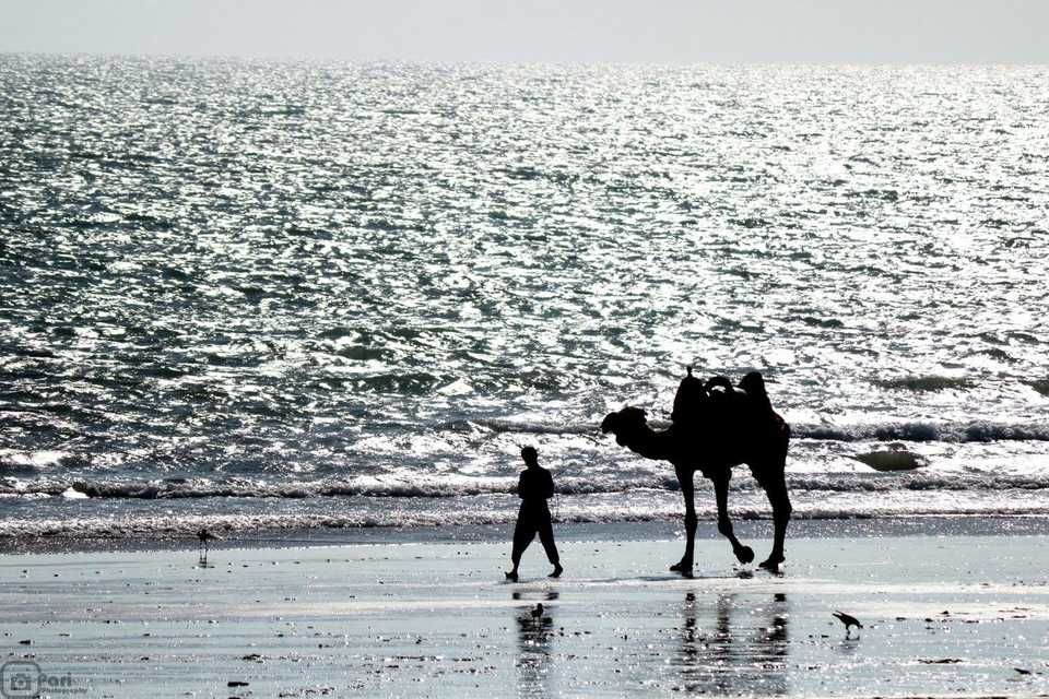 Photo of Mandvi Beach, Mandvi Rural, Gujarat by UMANG PUROHIT