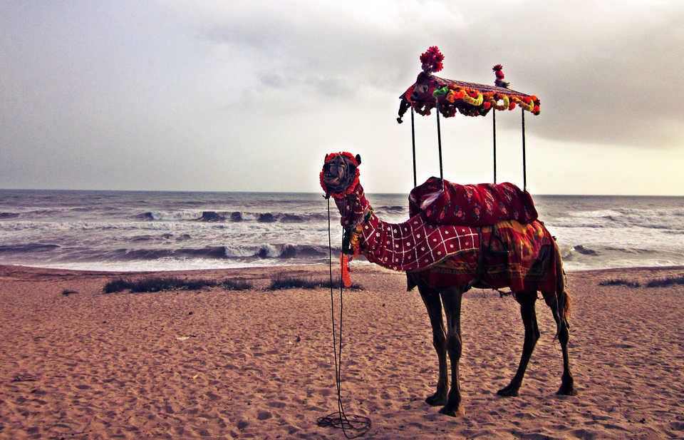Photo of Madhavpur Beach, Porbandar - Veraval Highway, Madhavpur, Gujarat, India by UMANG PUROHIT