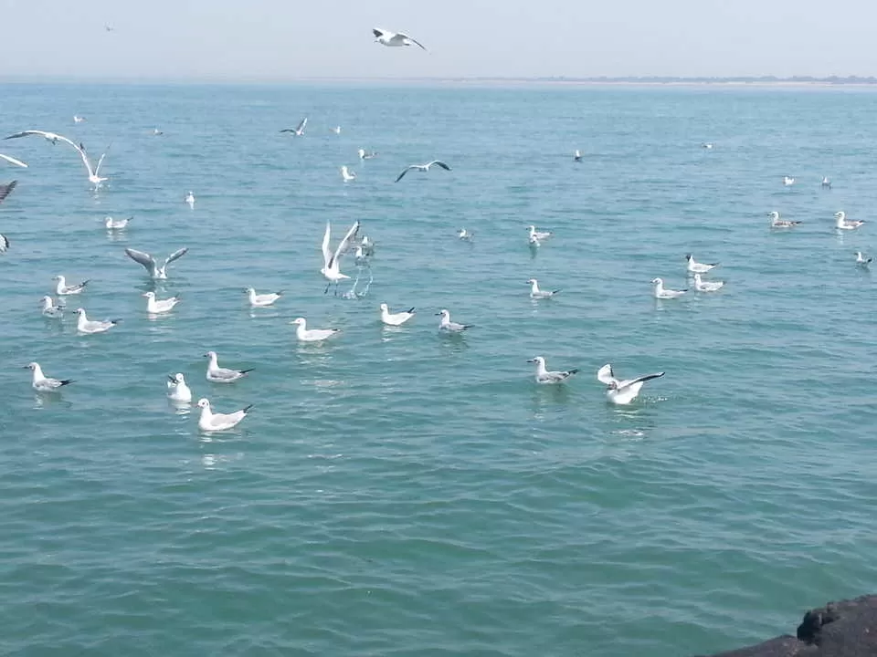 Photo of Bet Dwarka, Gujarat by UMANG PUROHIT