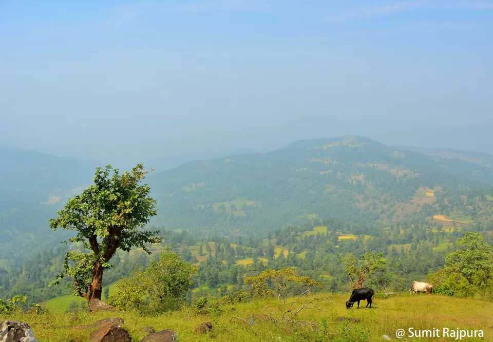 Photo of Wilson Hills, Upalpada, Gujarat by UMANG PUROHIT