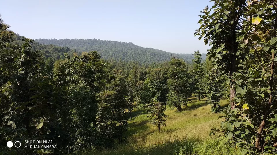 Photo of Pandava Caves, Rudreshwar Colony, Arvalem, Goa, India by UMANG PUROHIT