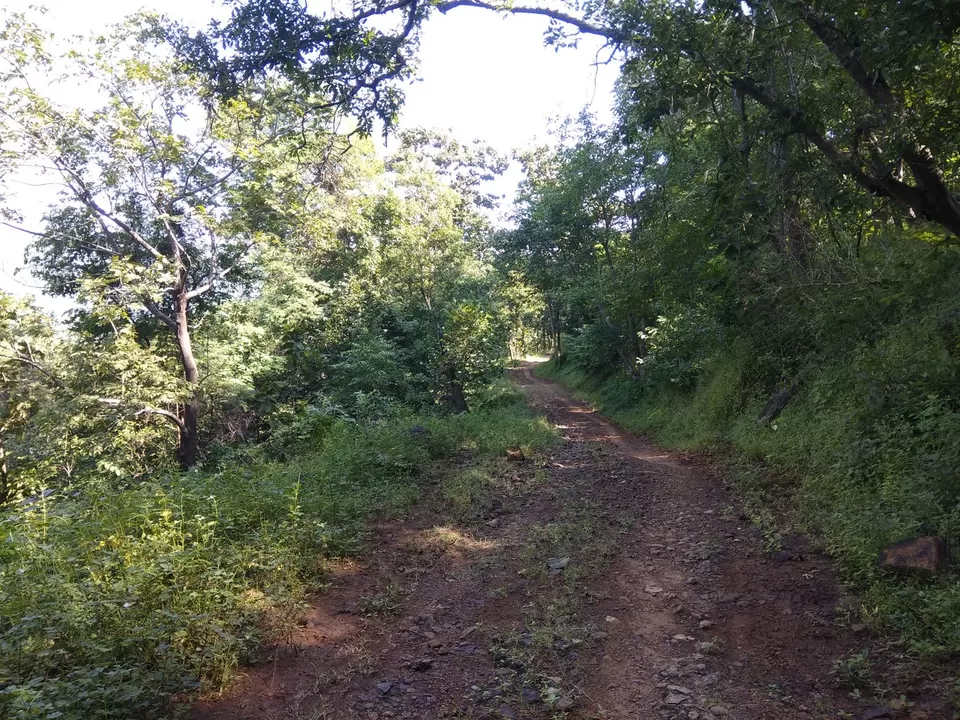 Photo of Pandava Caves, Rudreshwar Colony, Arvalem, Goa, India by UMANG PUROHIT