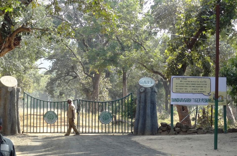 Photo of Bandhavgarh Tiger Reserve, Kila Bandhogarh, Madhya Pradesh, India by UMANG PUROHIT