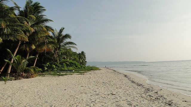 Photo of Havelock Island, Andaman and Nicobar Islands by Paurav Joshi