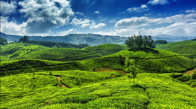 Photo of 20 કારણઃ કેમ એક ઉત્તર ભારતીયે દક્ષિણ ભારતમાં ક્યારેય પગ ન મૂકવો જોઇએ! 2/41 by Paurav Joshi