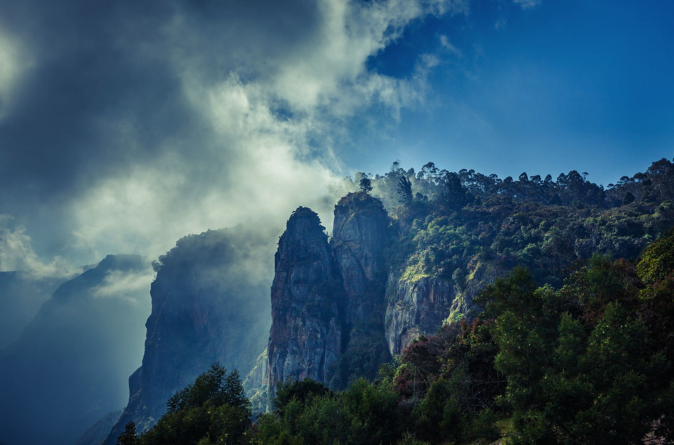 Photo of 20 કારણઃ કેમ એક ઉત્તર ભારતીયે દક્ષિણ ભારતમાં ક્યારેય પગ ન મૂકવો જોઇએ! 3/41 by Paurav Joshi