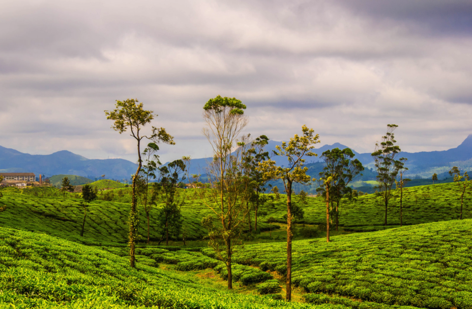 Photo of 20 કારણઃ કેમ એક ઉત્તર ભારતીયે દક્ષિણ ભારતમાં ક્યારેય પગ ન મૂકવો જોઇએ! 6/41 by Paurav Joshi