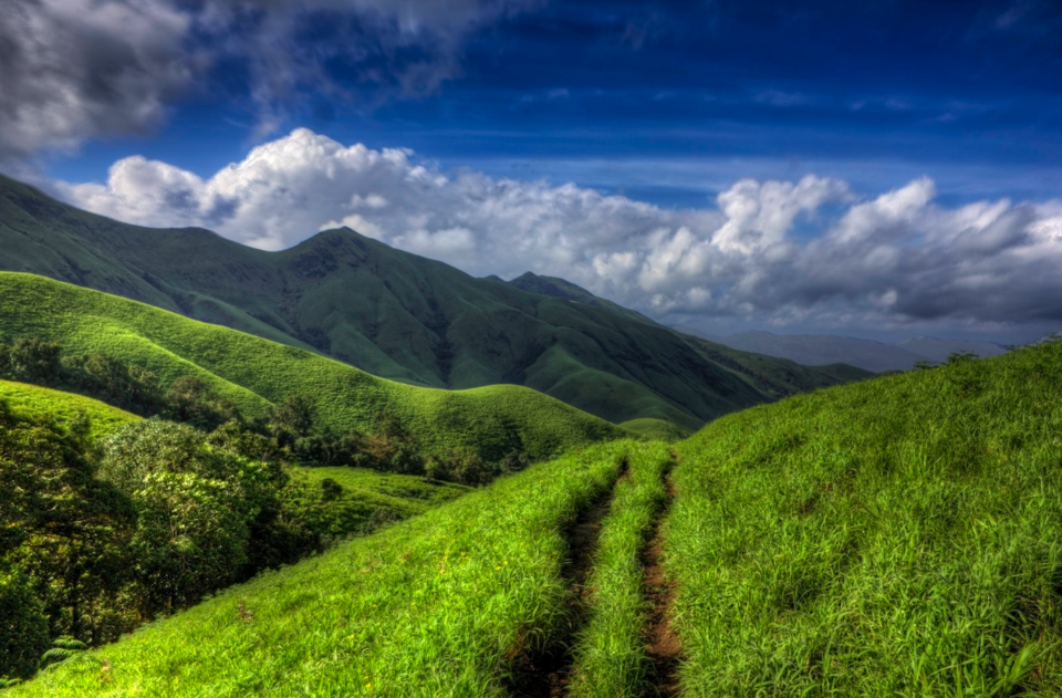 Photo of 20 કારણઃ કેમ એક ઉત્તર ભારતીયે દક્ષિણ ભારતમાં ક્યારેય પગ ન મૂકવો જોઇએ! 13/41 by Paurav Joshi