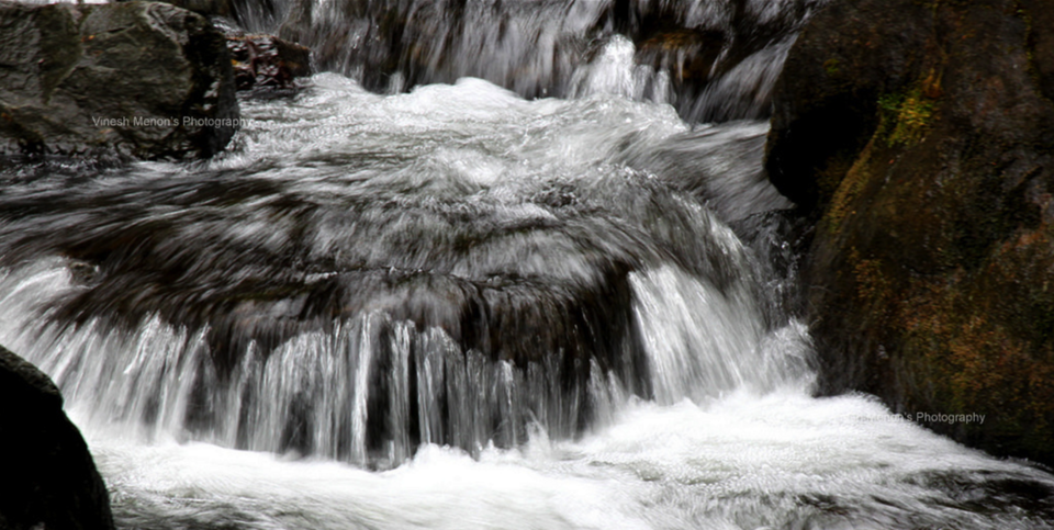 Photo of 20 કારણઃ કેમ એક ઉત્તર ભારતીયે દક્ષિણ ભારતમાં ક્યારેય પગ ન મૂકવો જોઇએ! 23/41 by Paurav Joshi