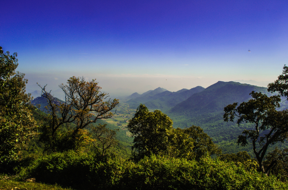 Photo of 20 કારણઃ કેમ એક ઉત્તર ભારતીયે દક્ષિણ ભારતમાં ક્યારેય પગ ન મૂકવો જોઇએ! 39/41 by Paurav Joshi