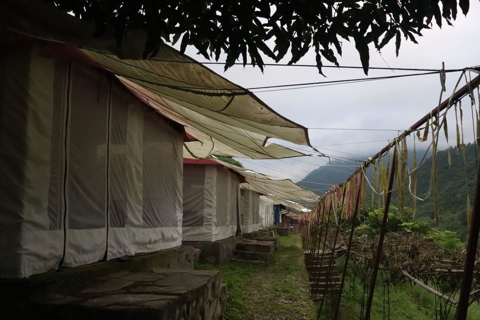Photo of What is BURE Eco Village? 1/5 by Nishtha
