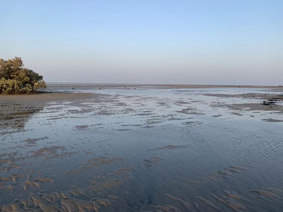 Photo of Narara Marine National Park-Jamnagar, Gujarat, India by Jalpa Rathod Chauhan