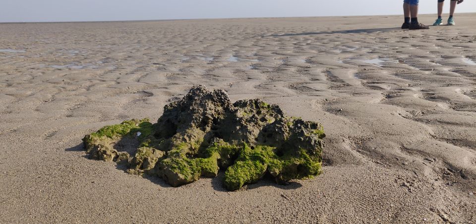 Photo of 42 Islands , No Tourists : How I Explored This Hidden Gem You'll love if You're a Water baby by Jalpa Rathod Chauhan