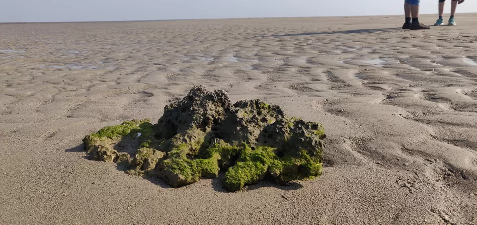 Photo of 42 Islands , No Tourists : How I Explored This Hidden Gem You'll love if You're a Water baby by Jalpa Rathod Chauhan