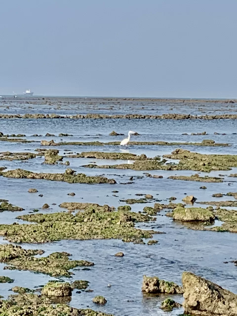 Photo of 42 Islands , No Tourists : How I Explored This Hidden Gem You'll love if You're a Water baby by Jalpa Rathod Chauhan