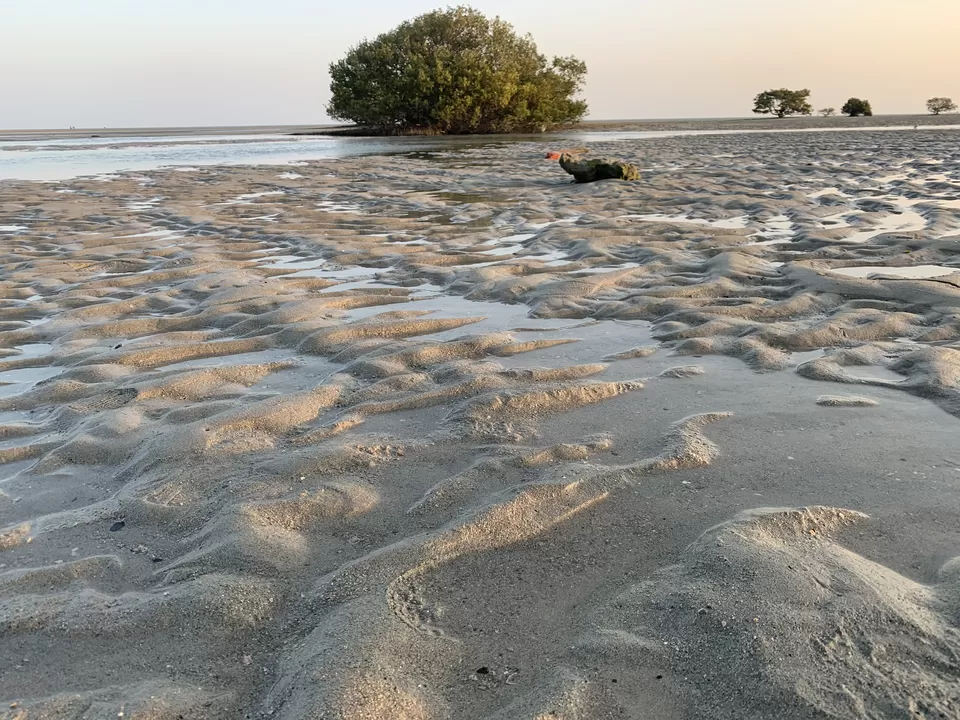 Photo of 42 Islands , No Tourists : How I Explored This Hidden Gem You'll love if You're a Water baby by Jalpa Rathod Chauhan