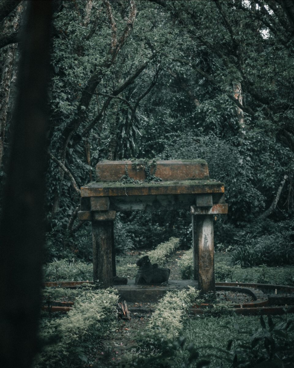 Photo of A Trip I will Never Forget by jagan jijo