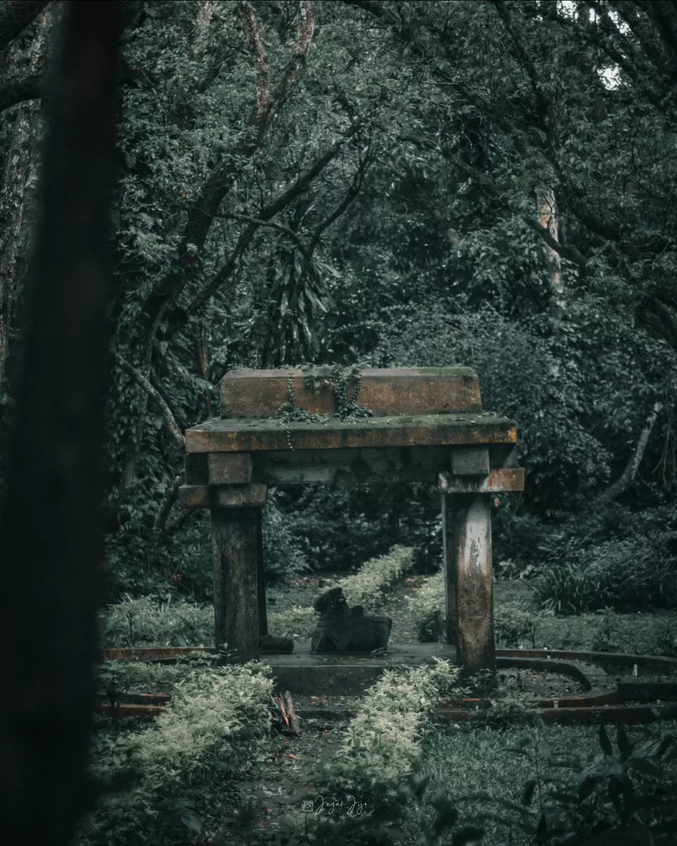 Photo of A Trip I will Never Forget by jagan jijo