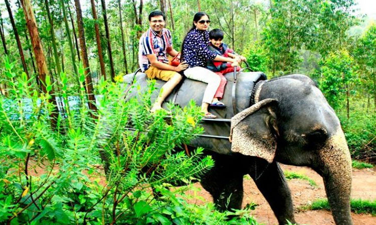Photo of Top 10 Coolest Tourist Places in Kerala to Visit During The Summer 2/10 by Shalini Tripathi