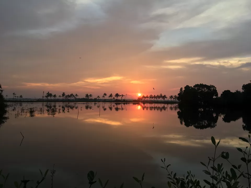 Photo of Kadamakudy Lake View Point, Kadamakudy Road, Puthussery Pokkali Padam, Valiya Kadamakudy, Kochi, Kerala, India by Vidya Shirodkar