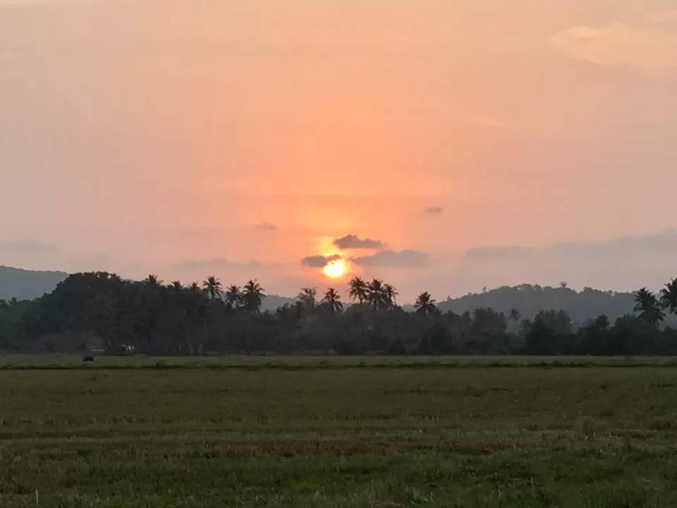 Photo of Maina, Curtorim, Goa, India by Vidya Shirodkar