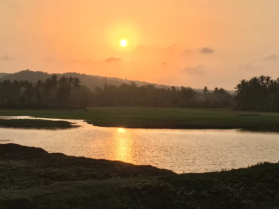 Photo of Maina, Curtorim, Goa, India by Vidya Shirodkar