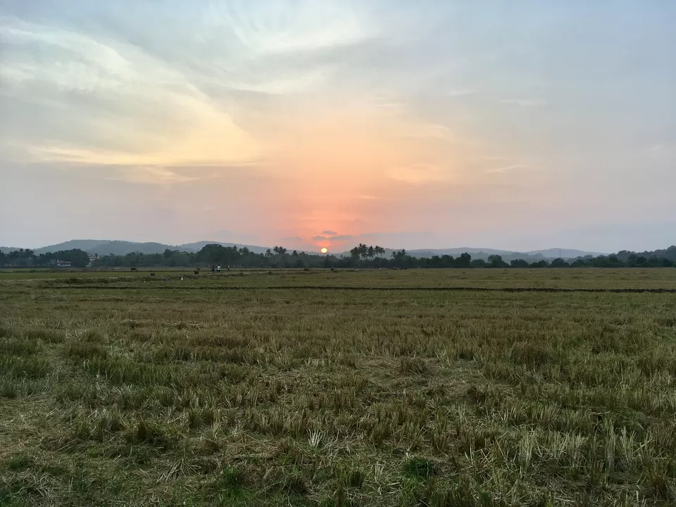 Photo of Maina, Curtorim, Goa, India by Vidya Shirodkar