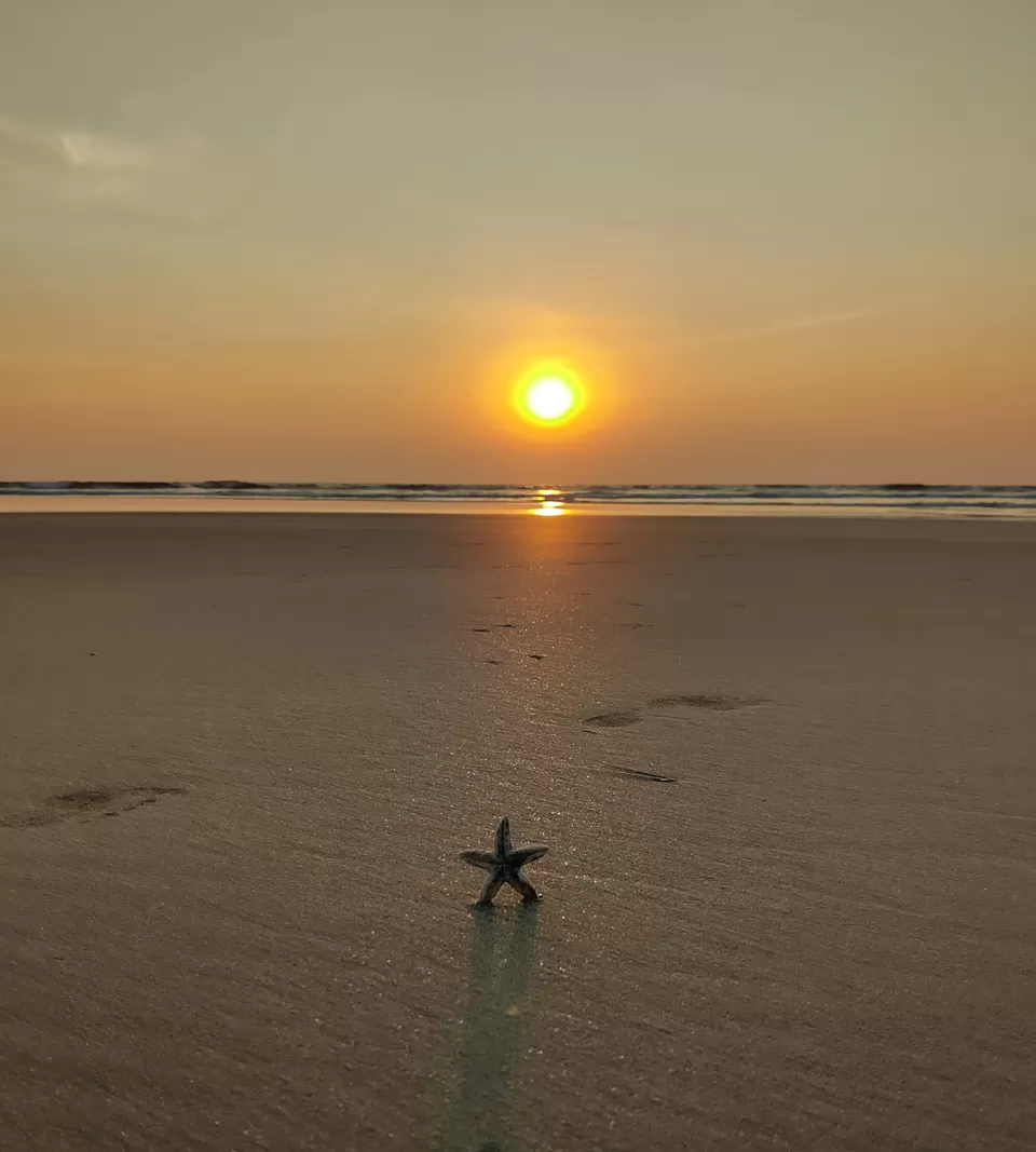 Photo of Benaulim Beach, Benaulim, Goa by Vidya Shirodkar