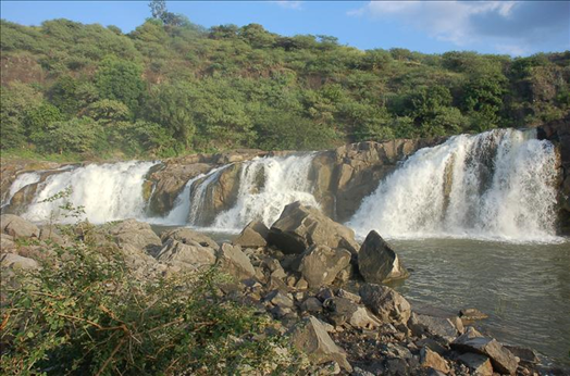 Photo of A Perfect Weekend from Ahmedabad to Gir National Park for Wanderlust 2/2 by Gir Safari Booking
